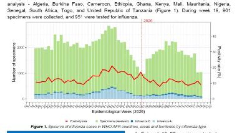 Respiratory virus surveillance in the WHO African Region Epidemiological Week 19, May 4 to 10 2026