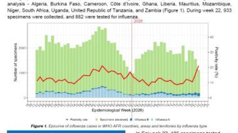 Respiratory virus surveillance in the WHO African Region Epidemiological Week 22, May 25 to 31 2026